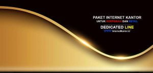 Broadband Internet dan Dedicated Internet, Yang Terbaik mana ya